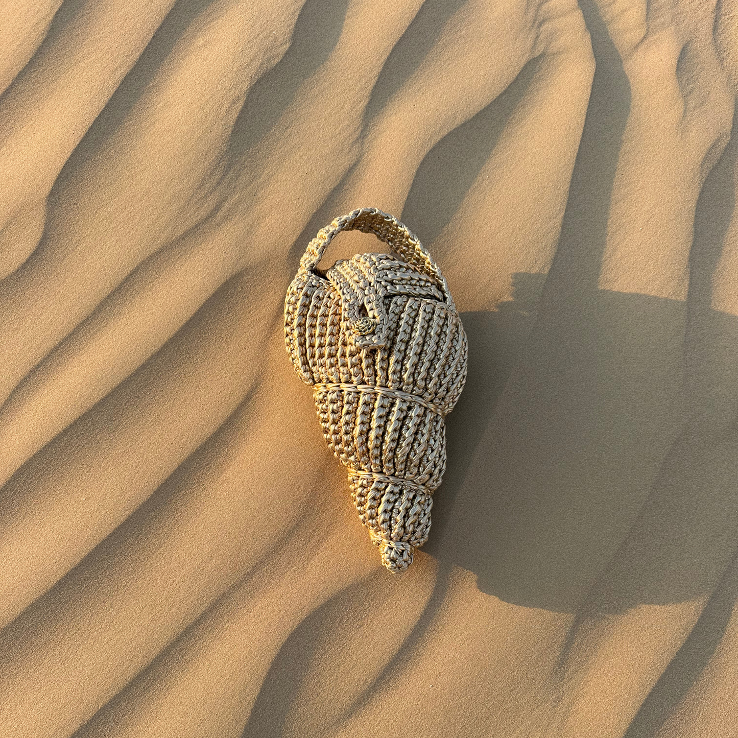 Wave Whelk in Gold Dust